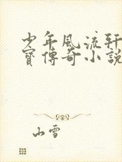 少年风流轩辕大宝传奇小说