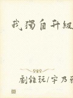 我独自升级小说