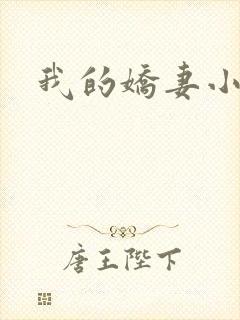 我的娇妻小说