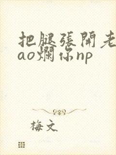 把腿张开老子cao烂你np