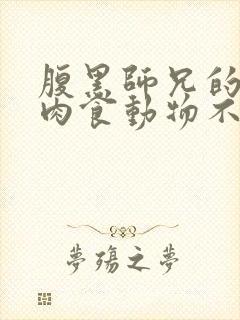 腹黑师兄的日常肉食动物不食草