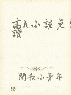 高h小说免费阅读