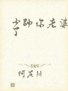 少帅你老婆又跑了