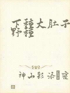 下种大肚子怀孕野种