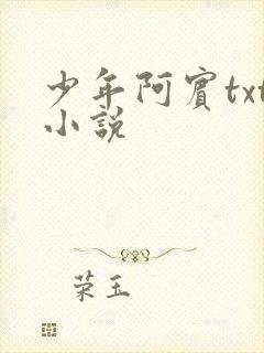 少年阿宾txt小说