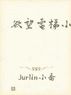 欲望电梯小说