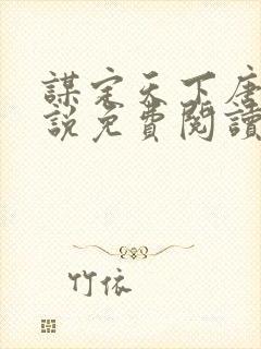 谋定天下唐诚小说免费阅读