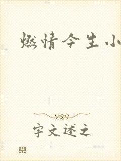 燃情今生小说