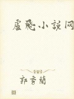 卢飞小说网