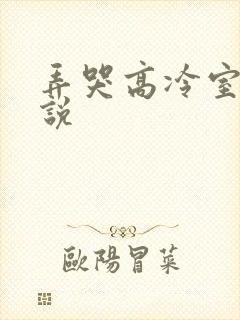 弄哭高冷室友小说