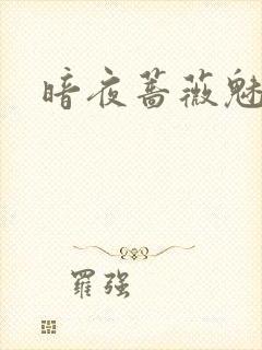 暗夜蔷薇魅