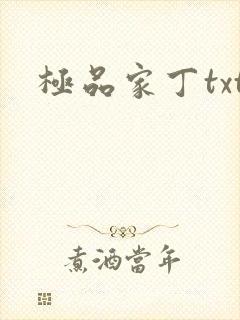 极品家丁txt