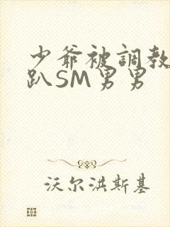 少爷被调教室跪趴SM男男