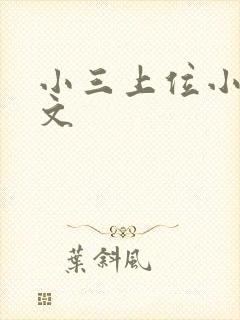 小三上位小说全文