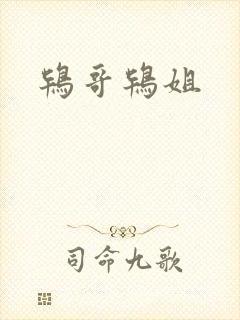 鸨哥鸨姐