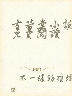 方若棠小说全文免费阅读