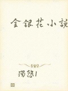 金银花小说乐可