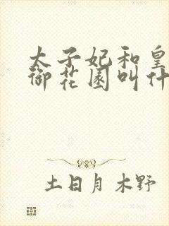 太子妃和皇帝在御花园叫什么小说