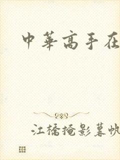 中华高手在异世