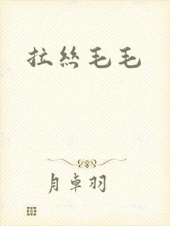 拉丝毛毛