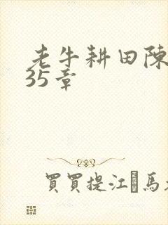 老牛耕田陈雪435章