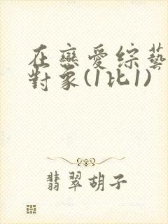 在恋爱综艺里搞对象(1比1)