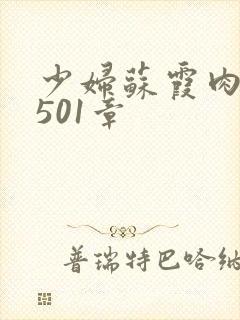 少妇苏霞肉欲第501章