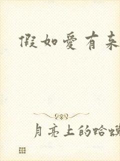 假如爱有来生