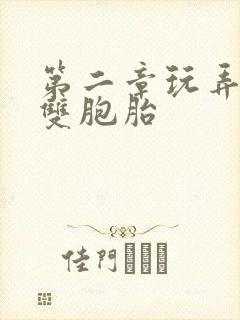 第二章玩弄少妇双胞胎