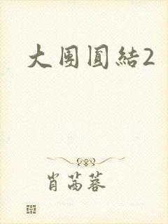 大团圆结2