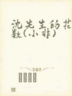 沈先生的花式调数(小非)