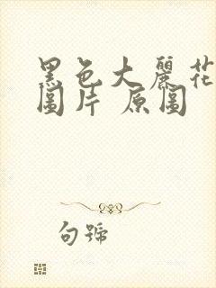 黑色大丽花真实图片 原图