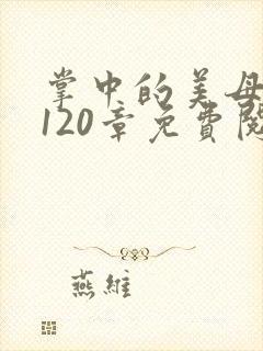 掌中的美母版主120章免费阅读