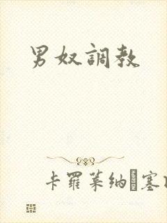 男奴调教