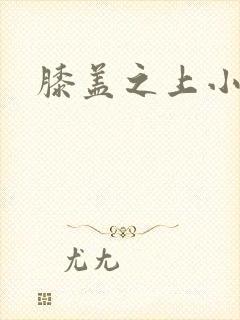 膝盖之上小说