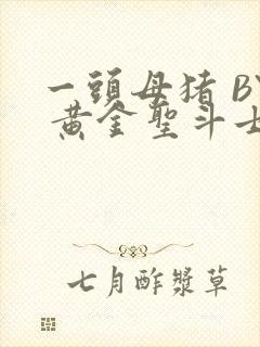 一头母猪 BY 黄金圣斗士