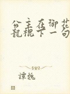 公主在御花园吃龙棍下一句