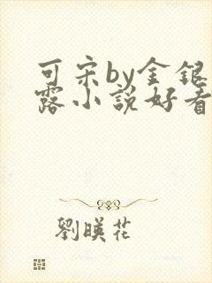 可宋by金银花露小说好看吗