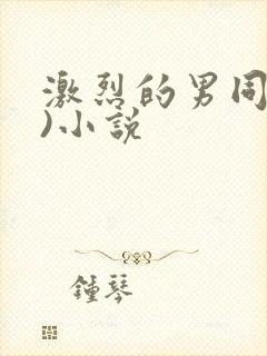 激烈的男同(h)小说