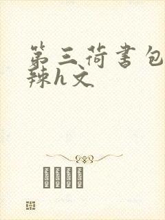 第三荷书包网高辣h文