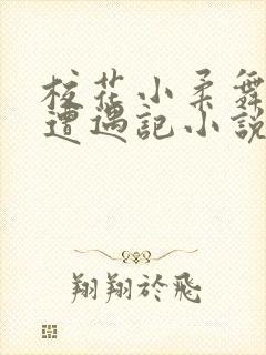 校花小柔舞蹈室遭遇记小说