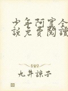 少年阿宾全文小说免费阅读笔趣阁