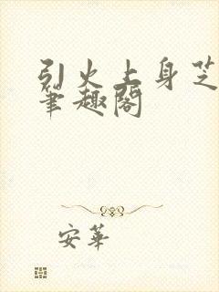 引火上身芝麻糖笔趣阁