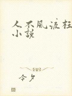 人不风流枉少年小说