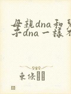 母亲dna和儿子dna一样不