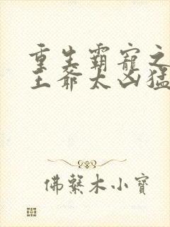 重生霸宠之摄政王爷太凶猛