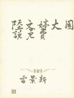 陆文婷大团圆小说免费