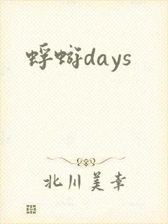 蜉蝣days