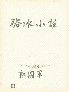 骆冰小说
