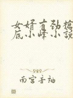 女婿有劲枪枪到底小峰小说